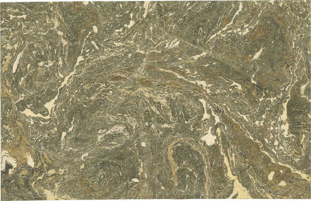 Тарханов Михаил Михайлович. Композиция